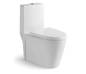 Toilette monobloc en céramique blanche P Trap 