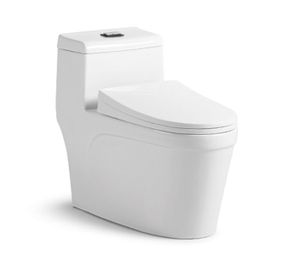 Toilette monobloc murale blanche School 